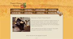 Desktop Screenshot of desertflowerranchaz.com